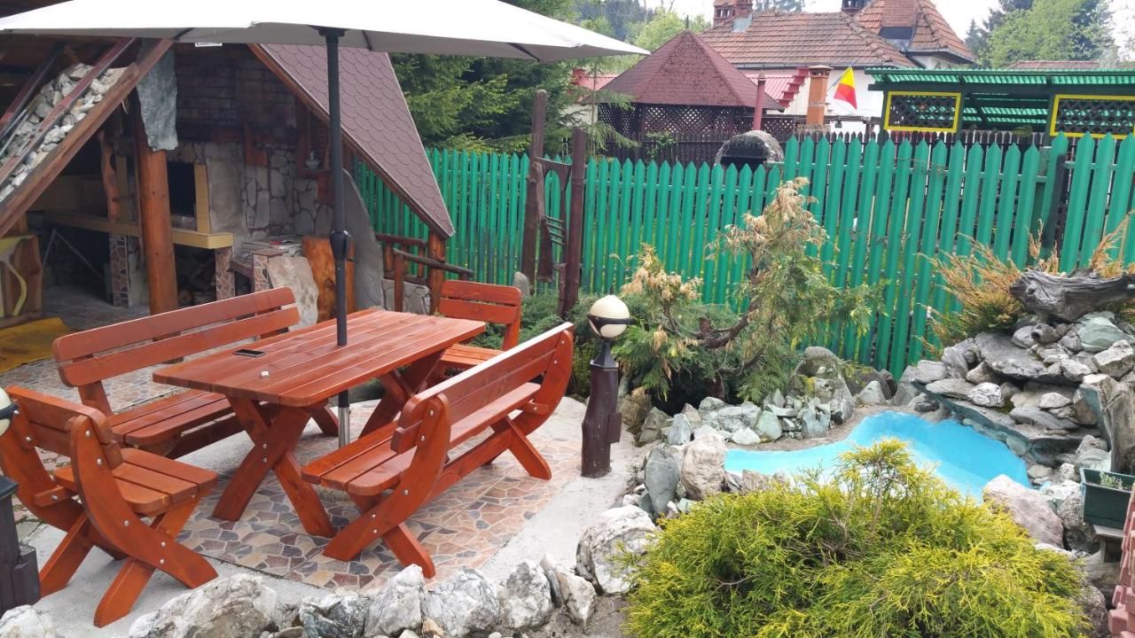 Гостевой дом Pensiunea Dapa Предял-14