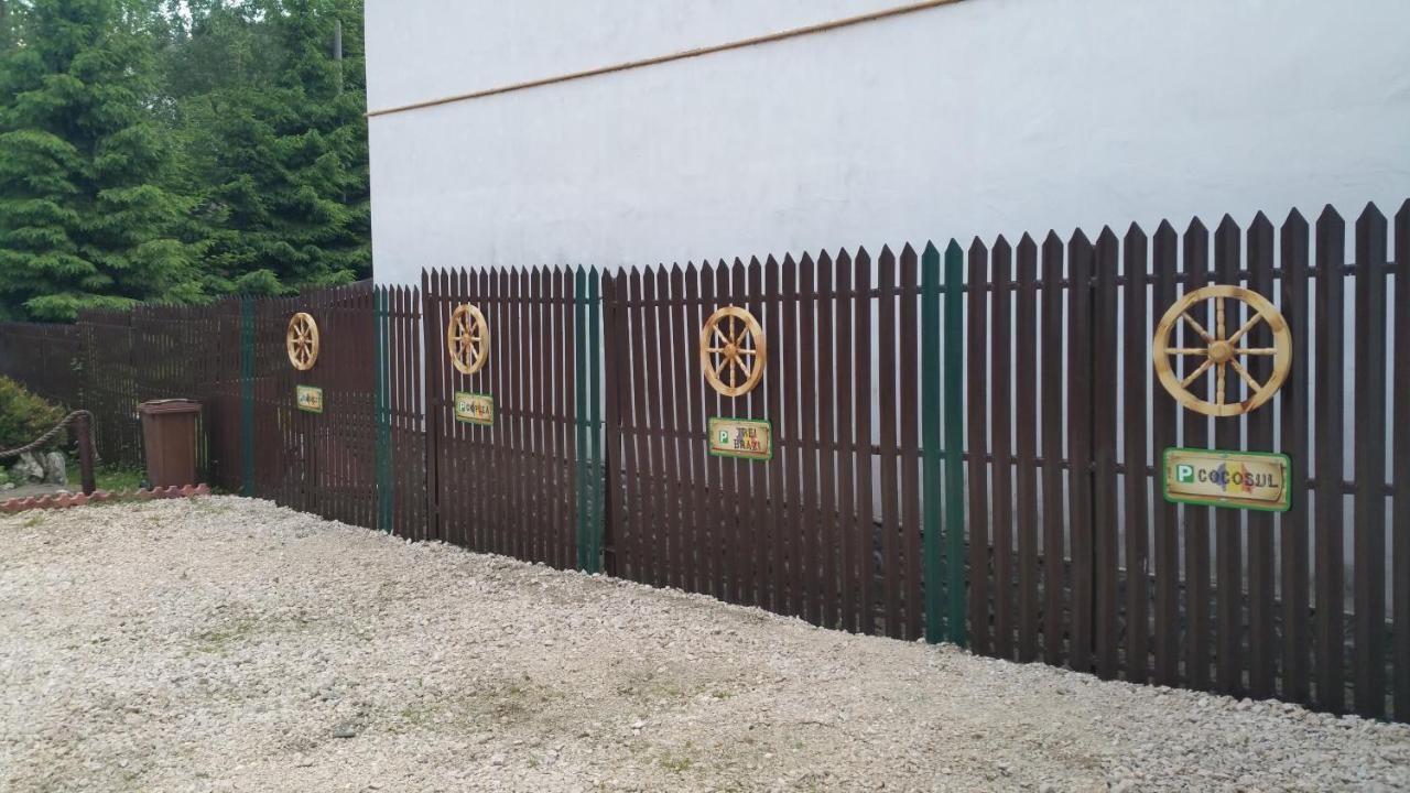 Гостевой дом Pensiunea Dapa Предял-16