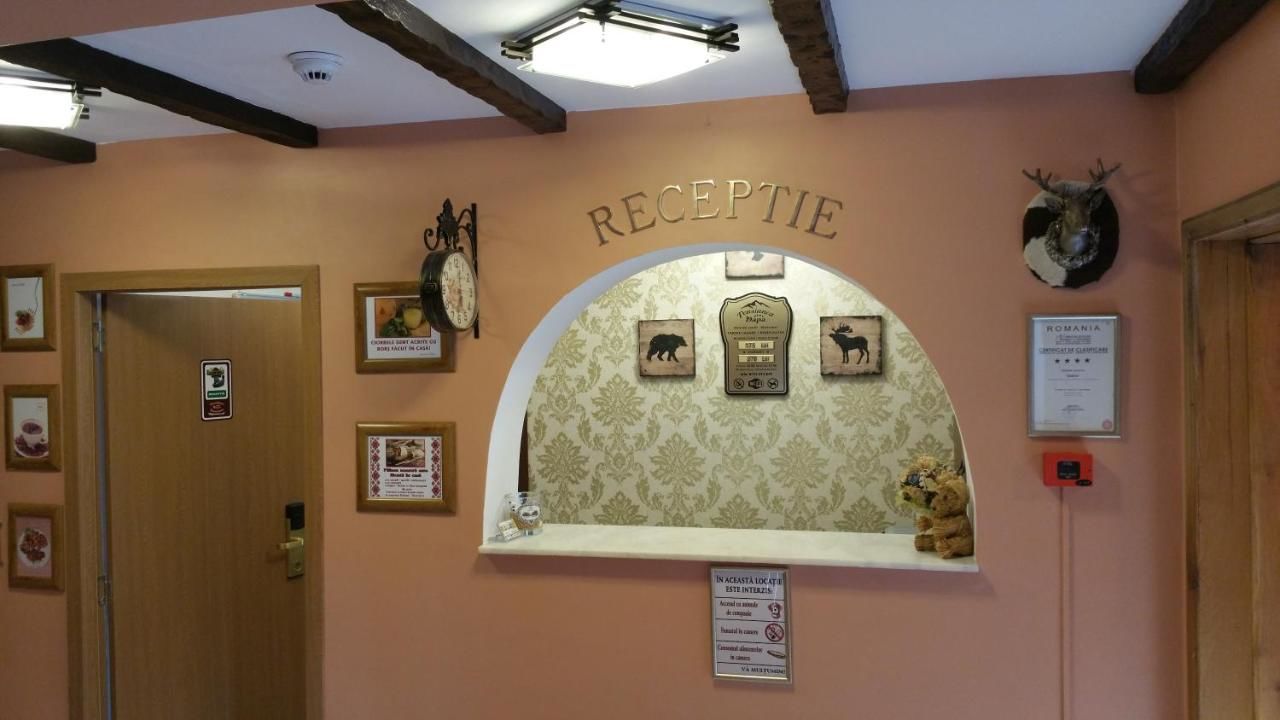 Гостевой дом Pensiunea Dapa Предял-19