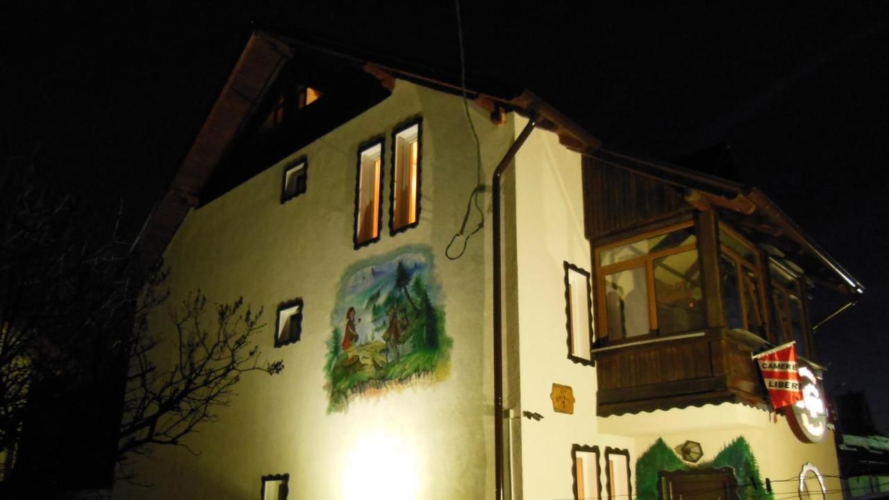 Гостевой дом Pensiunea Dapa Предял-20