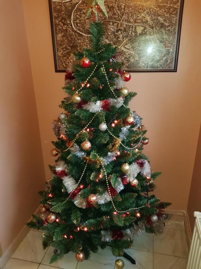 Гостевой дом Pensiunea Dapa Предял-7